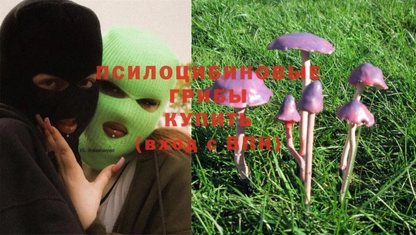 MDMA Туринск
